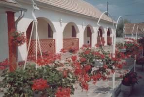 Bog�csi Vend�gh�z