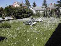 Viktor Nyaral�h�z