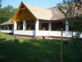 RIG� VEND�GH�Z