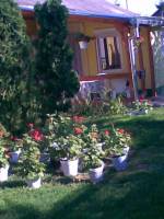 N�N�SILAK VEND�GH�Z