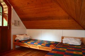 �rnyas Sziget Ifj�s�gi T�bor 2