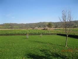 Kis Csicseri Vend�gh�z