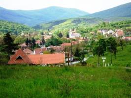 M.hotyka Vend�gh�z