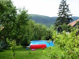 M.hotyka Vend�gh�z