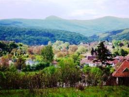 M.hotyka Vend�gh�z