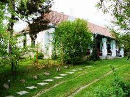 M.hotyka Vend�gh�z