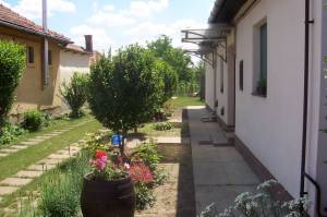 O�zis Vend�gh�z