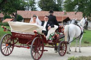 Villa Weber Konferencia �s Wellness Hotel ****