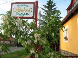 Ak�cos Vend�gh�z