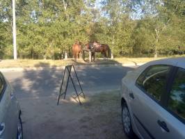 Kik�t� a veresi Cs�rd�hoz