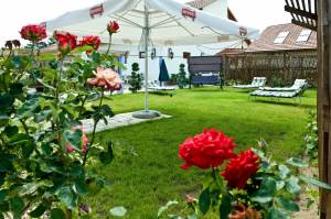 Nyilas Apartm�nh�z