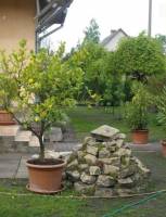 FO-334 K�zvetlen Balaton-parti nyaral�h�z Fony�don 4-6 f�re