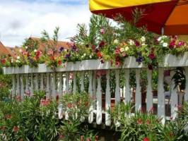 FO-334 K�zvetlen Balaton-parti nyaral�h�z Fony�don 4-6 f�re