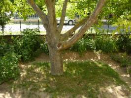 FO-15 :Kedvez� �r� 4-5-6 f�s nyaral�h�z Fony�don a Balatonn�l