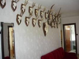 BO-42: �j�p�t�s�, sz�pen berendezett 6 f�s nyaral�h�zak Balatonbogl�ron