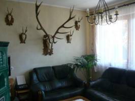 BO-43: �j�p�t�s�, sz�pen berendezett 4 f�s nyaral�h�z Balatonbogl�ron