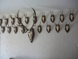 BO-44: Sz�pen berendezett 10-11 f�s nyaral�h�z Balatonbogl�ron