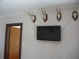 BO-44: Sz�pen berendezett 10-11 f�s nyaral�h�z Balatonbogl�ron