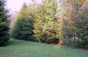 F�veskert Vend�gh�z