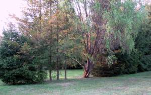 F�veskert Vend�gh�z