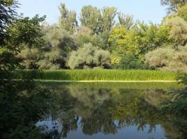 K�r�s-parti vend�gh�zak