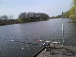 Picike nev� nyaral� kiad�