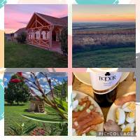 Di�h�j Vend�gh�z