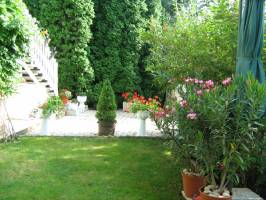 Pajdos Vend�gh�z