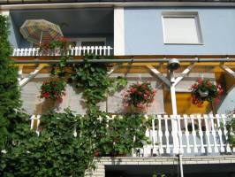 Pajdos Vend�gh�z