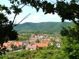 Apartman V�r�sdomib Vend�h�z