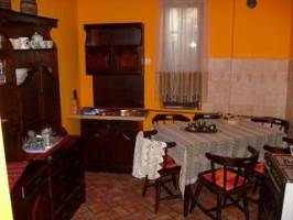 Zsuzsanna Vend�gh�z