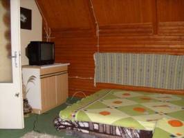 Zsuzsanna Vend�gh�z