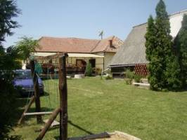 Zsuzsanna Vend�gh�z