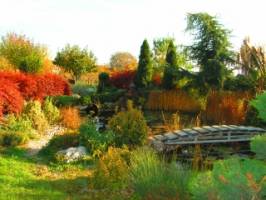 Aralica Paraszth�z