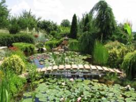 Aralica Paraszth�z