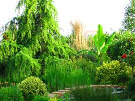 Aralica Paraszth�z