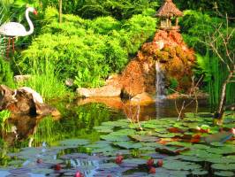 Aralica Paraszth�z