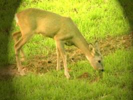 B�rzs�ny turistah�z