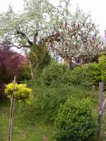 Rockenbauer P�l Turistasz�ll�