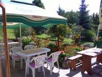 Borcsi Sport Panzi�