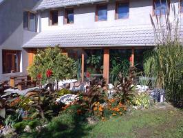 Borcsi Sport Panzi�