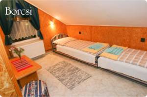 Borcsi Sport Panzi�