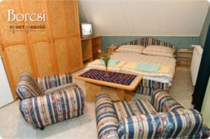 Borcsi Sport Panzi�