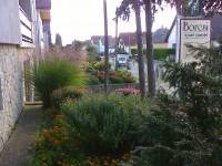 Borcsi Sport Panzi�