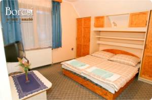 Borcsi Sport Panzi�