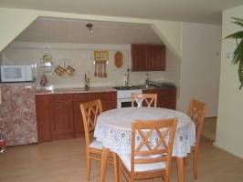 Elyzabeth Vend�gfogad�