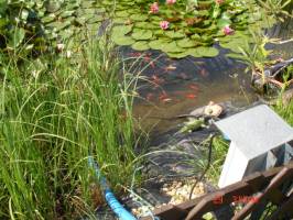 �riszentp�teri Mih�ly Vend�gh�z - �rs�gi Kulcsos H�z