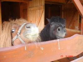 �riszentp�teri Mih�ly Vend�gh�z - �rs�gi Kulcsos H�z