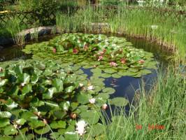 �riszentp�teri Mih�ly Vend�gh�z - �rs�gi Kulcsos H�z