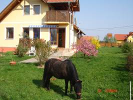 �riszentp�teri Mih�ly Vend�gh�z - �rs�gi Kulcsos H�z